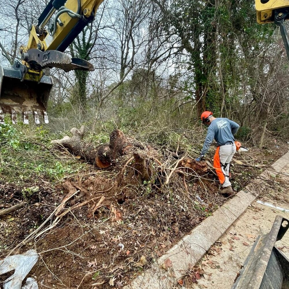 Crew member clearing large tree debris with equipment nearby