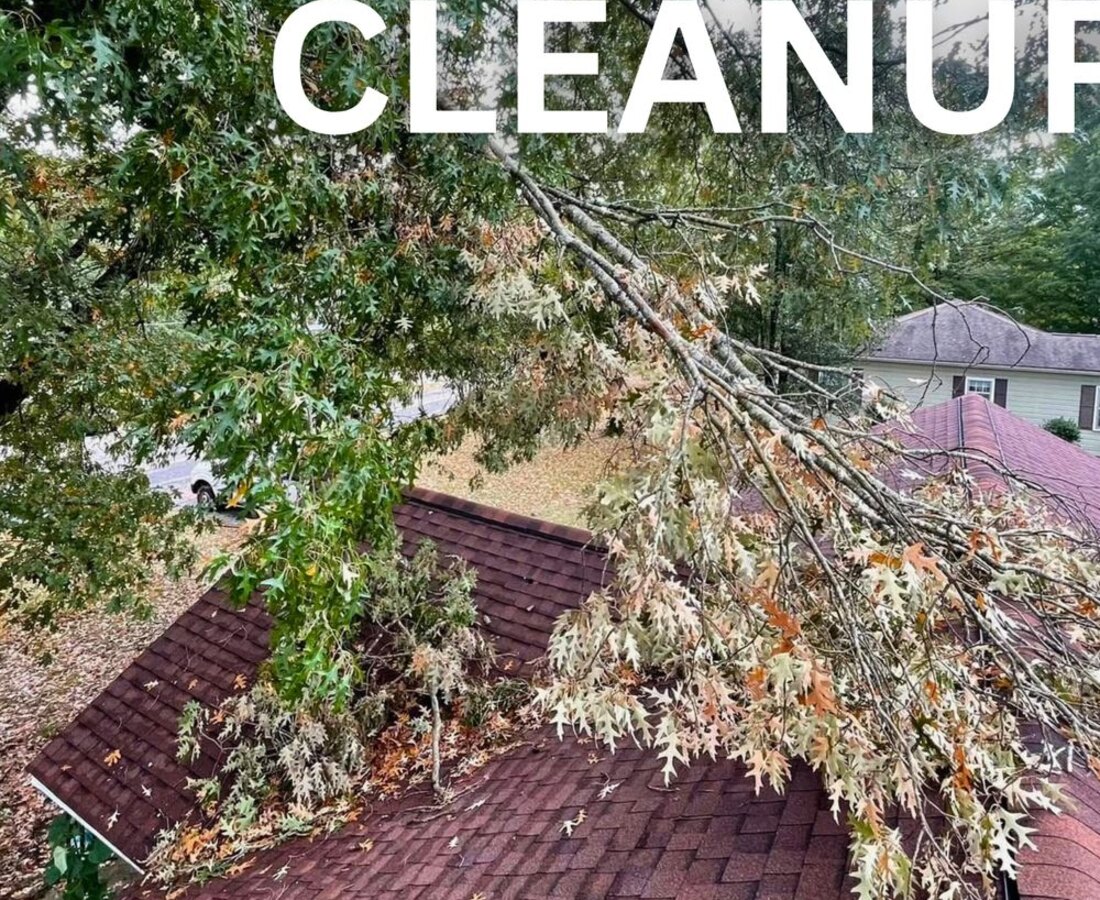 Storm-damaged limbs and tree debris on a roofline