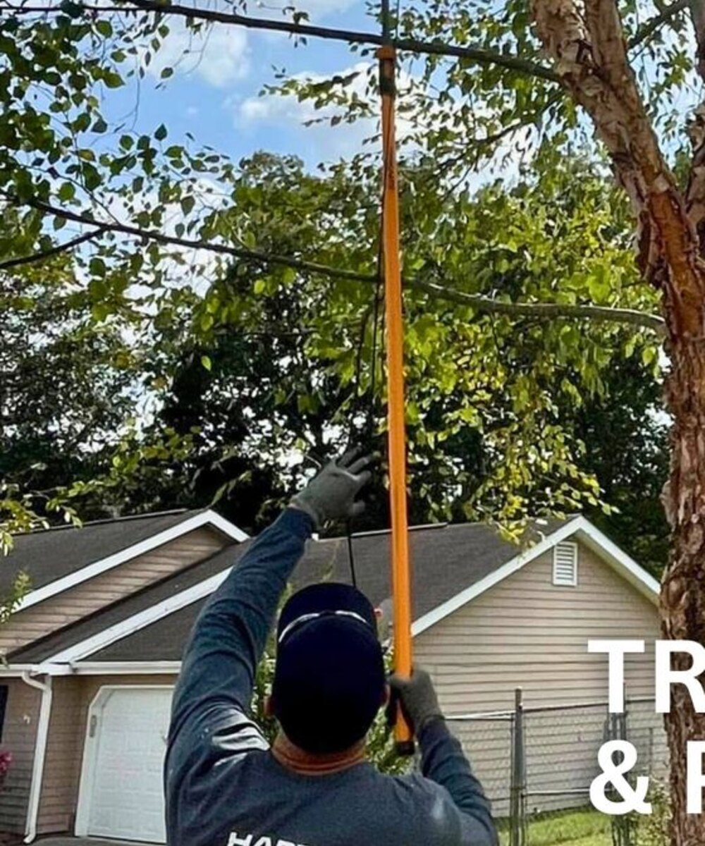 Logan pruning a tree near a home